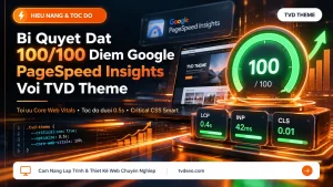 Bí Quyết Đạt 100 Điểm Google PageSpeed Insights Với TVD Theme